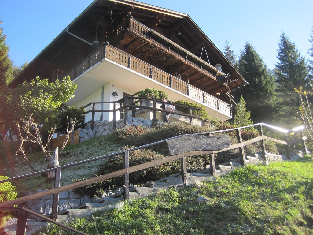 Апартаменты Chalet Erica Jaun Экстерьер фото
