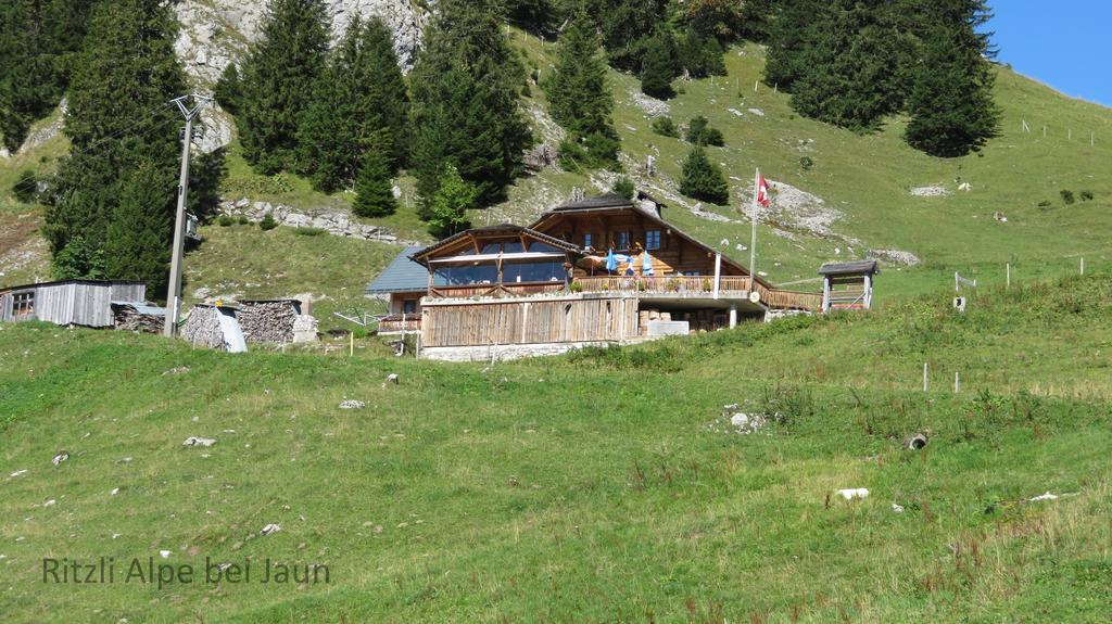 Апартаменты Chalet Erica Jaun Экстерьер фото